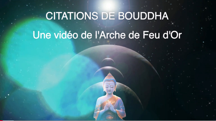 Titre vidéo
