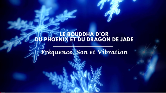 Titre vidéo