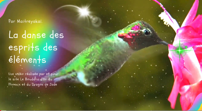 Titre vidéo